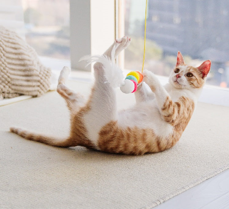 Cat toys!