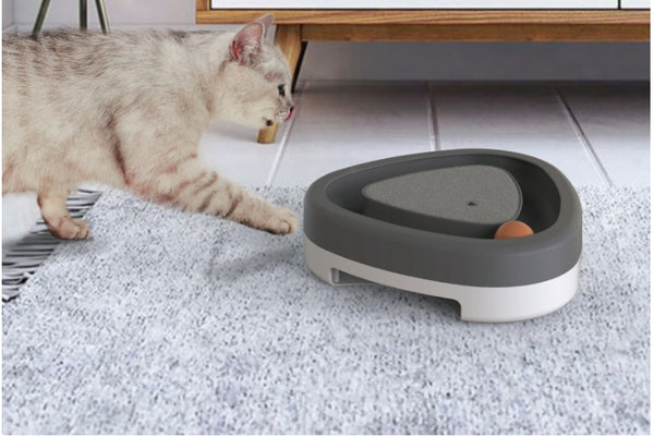 Cat ball track with smart turntable!