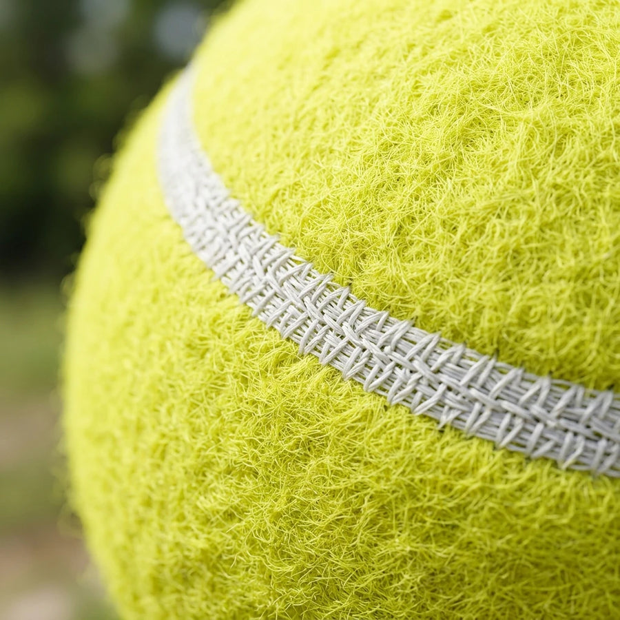 Giant Tennis Ball for Dogs — main view