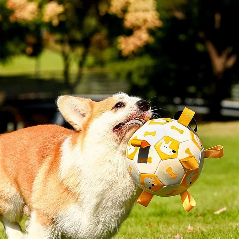 Dog Football Chew Ball
