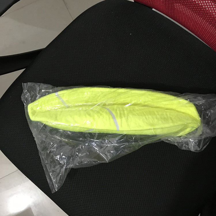 Giant Tennis Ball for Dogs