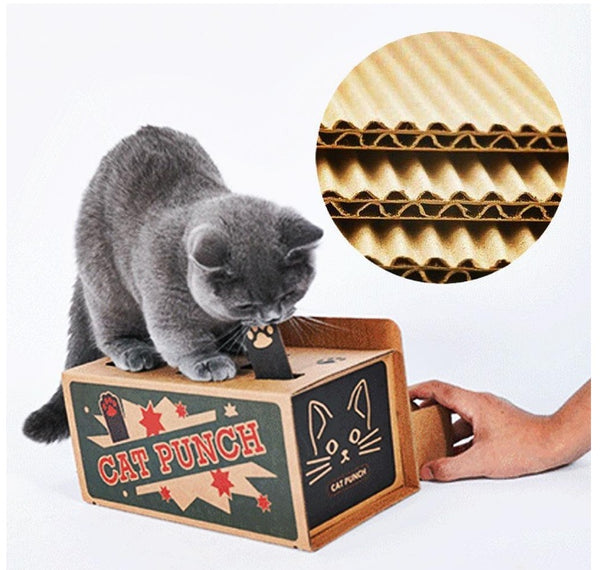 Cat peekaboo box!