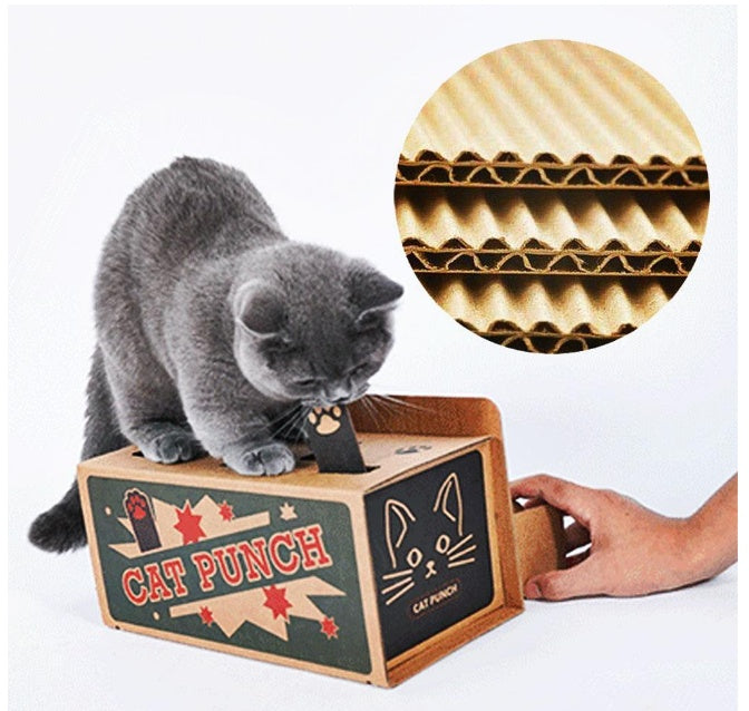 Cat peekaboo box!