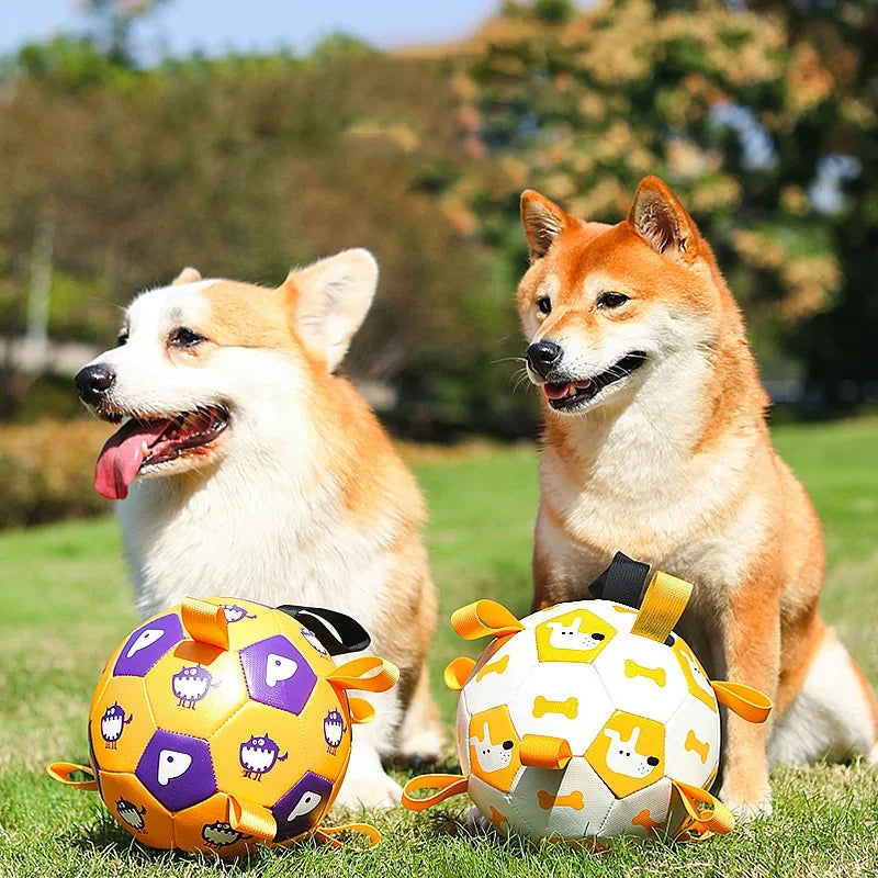 Dog Football Chew Ball