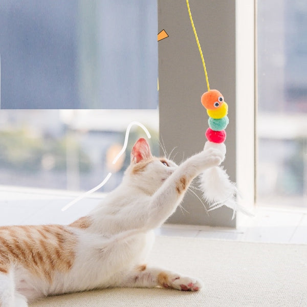 Cat hanging toy