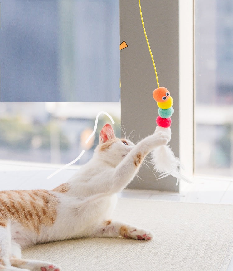 Cat hanging toy
